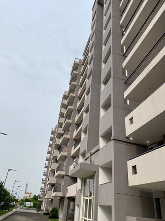 3 BHK Apartment For Resale in Corona Optus Sector 37c Gurgaon  6296756