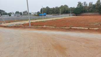  Plot For Resale in Ms Palya Bangalore 6297004