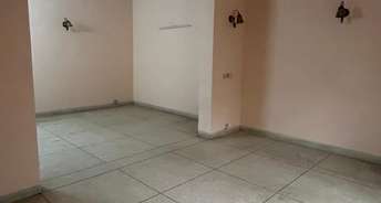 3 BHK Builder Floor For Rent in Karkardooma Delhi 6297844