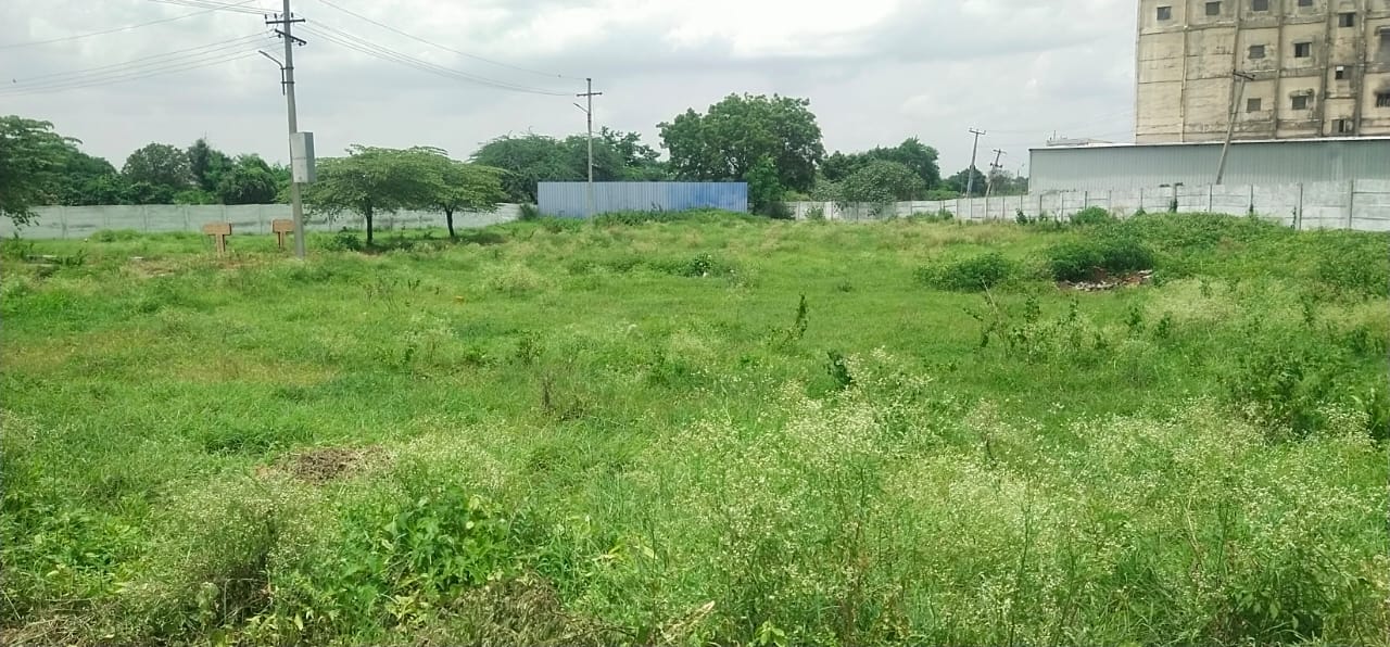 Plot For Resale in Nandigama Hyderabad  6297988