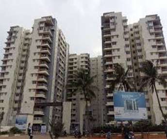 3 BHK Apartment For Resale in Dsr Sunrise Towers Whitefield Bangalore 5897417