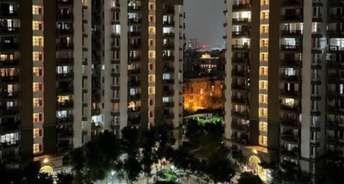 1 BHK Apartment For Rent in Unitech Escape Sector 50 Gurgaon 6298214