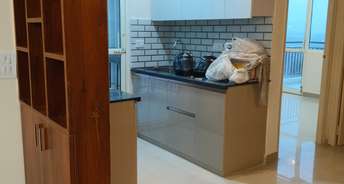 2 BHK Apartment For Rent in Suncity Avenue 76 Sector 76 Gurgaon 6298663