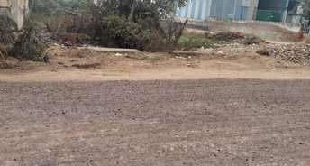 Commercial Land 1000 Sq.Yd. For Resale In Nawada Tigaon Village Faridabad 6298757