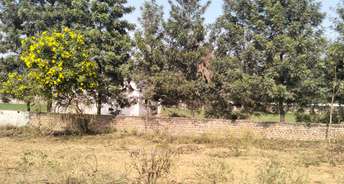 Commercial Land 2000 Sq.Yd. For Resale In Alipur Faridabad 6298777