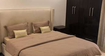 4 BHK Apartment For Rent in RWA Greater Kailash 1 Greater Kailash I Delhi 6299470