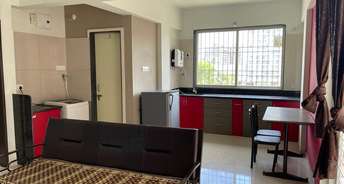 1 BHK Apartment For Rent in Balewadi Apartments Balewadi Pune 6299534