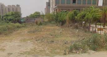 Commercial Land 10150 Sq.Ft. For Rent In Naurangpur Gurgaon 6299563