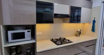 2 BHK Apartment For Rent in Cosmos Executive Sector 3 Gurgaon 6299568