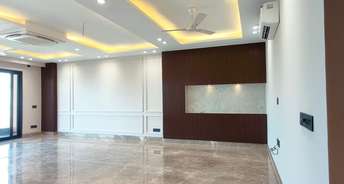 3 BHK Apartment For Rent in Cosmos Executive Sector 3 Gurgaon 6299569