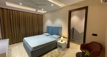 1 BHK Apartment For Rent in Ansal Celebrity Suites Sector 2 Gurgaon 6299579