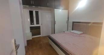 2 BHK Apartment For Rent in Model Town Panipat 6299918