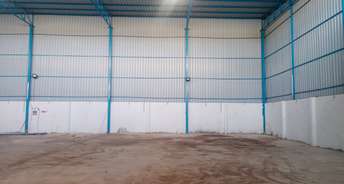 Commercial Warehouse 6500 Sq.Yd. For Rent In Katedhan Hyderabad 6300374