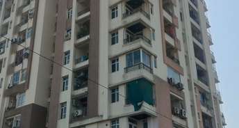 3 BHK Apartment For Rent in Okay Vaishali Aangan Sirsi Road Jaipur 6300674