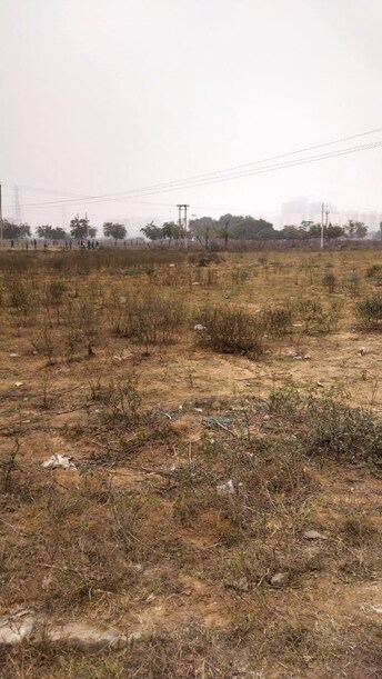 Plot For Resale in JMS Primeland Sector 95a Gurgaon  6300866