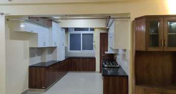 2 BHK Apartment For Rent in La Residentia Noida Ext Tech Zone 4 Greater Noida 6301569