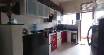 2 BHK Apartment For Rent in Vijay Nagar Indore 6301582