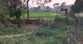 Commercial Land 1000 Acre For Resale In Sitapur Lucknow 6303045