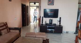 3 BHK Apartment For Rent in Hector Trimurti Heights Sector 33 Gurgaon 6303100