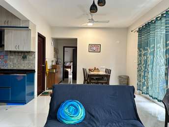 2 BHK Apartment For Rent in SJR Blue Waters Off Sarjapur Road Bangalore 6303296
