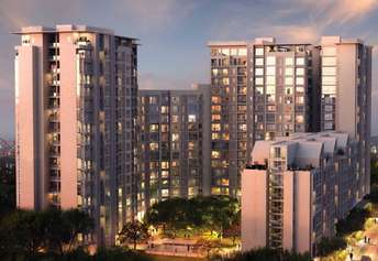 1 BHK Apartment For Rent in Godrej The Trees Vikhroli East Mumbai 6303374