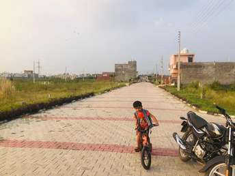 Plot For Resale in Sector 15 Panchkula 6303492