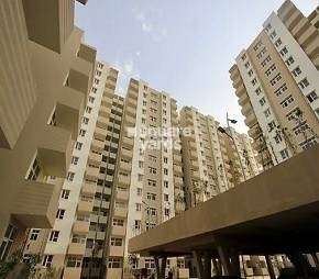 2 BHK Apartment For Rent in Tulip Lemon Sector 69 Gurgaon 6303781