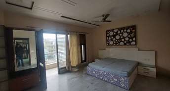 6 BHK Builder Floor For Rent in Gujranwala Town Delhi 6304418