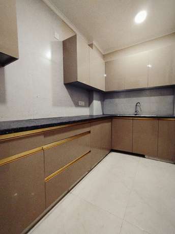 1 BHK Builder Floor For Rent in RWA Saket SFS Block A & C Saket Delhi 6304585