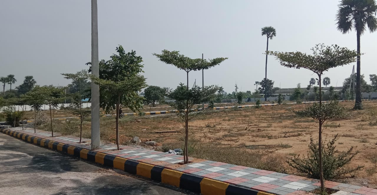  Plot For Resale in Tarnaka Hyderabad 6304804