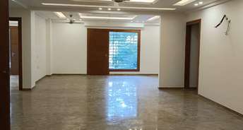 2 BHK Apartment For Rent in Alphacorp Gurgaon One 22 Sector 22 Gurgaon 6305036