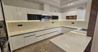 3 BHK Apartment For Rent in Alphacorp Gurgaon One 22 Sector 22 Gurgaon 6305040