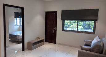 1 BHK Apartment For Rent in Bangalore Central Jail Bangalore 6306167