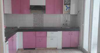 3 BHK Apartment For Resale in Town Park White Orchid Noida Ext Sector 16c Greater Noida 6306281