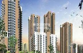 3 BHK Apartment For Rent in Pioneer Park Phase 1 Sector 61 Gurgaon 6306411