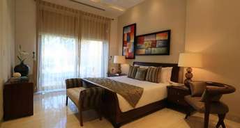 2 BHK Apartment For Resale in Ambience Creacions Sector 22 Gurgaon 6306678