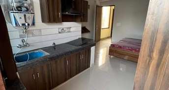 1 RK Builder Floor For Rent in Airforce Station Gurgaon 6306826