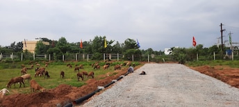 Plot For Resale in Medchal Hyderabad  6307177