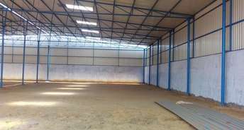 Commercial Warehouse 20000 Sq.Ft. For Rent In Kadipur Gurgaon 6307425