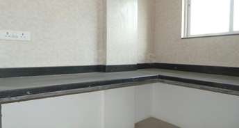 3 BHK Apartment For Rent in Anand Apartment Bhusari Colony Kothrud Pune 6307429