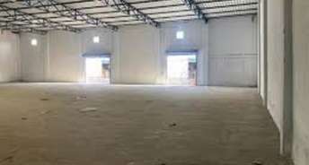 Commercial Warehouse 10000 Sq.Ft. For Rent In Sector 5 Gurgaon 6307494