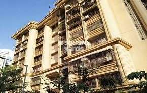 1.5 BHK Apartment For Resale in Jai Shree Krishna Neelam CHS Andheri West Mumbai 6307764