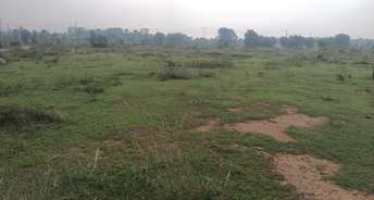 Commercial Industrial Plot 10 Acre For Resale In Hoskote Bangalore 6307807