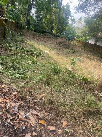  Plot For Resale in Cunningham Road Bangalore 6308068