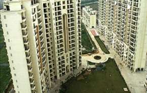 1 BHK Apartment For Rent in The Retreat Gurgaon Sector 41 Gurgaon 6308100
