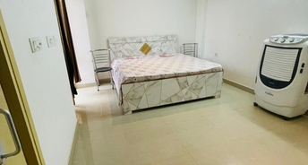 2 BHK Apartment For Rent in Lotus Homz Sector 111 Gurgaon 6308474