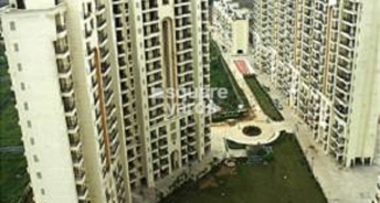 1 BHK Apartment For Rent in The Retreat Gurgaon Sector 41 Gurgaon 6308479