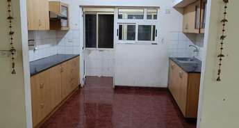 3 BHK Apartment For Rent in Sobha Palm Courts Kogilu Bangalore 6309190