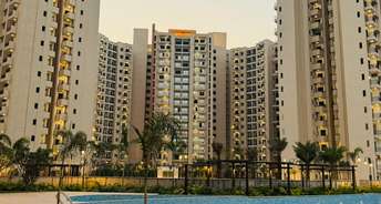 1 BHK Apartment For Resale in Sector 22 Noida 6309541
