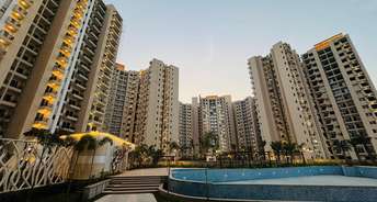 1 BHK Apartment For Resale in Sector 22 Noida 6309664